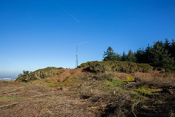 Slievethoul heathland and forest beneath a clear sky